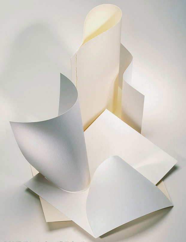 paper_sculpture_copy copy